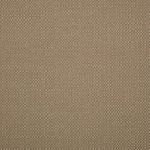Action-Taupe