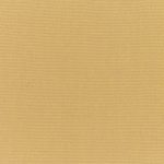 Canvas-Brass