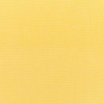 Canvas-Buttercup