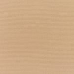 Canvas-Camel