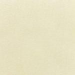 Canvas-Canvas