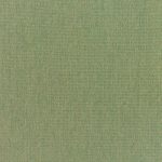 Canvas-Fern