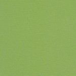 Canvas-Ginkgo