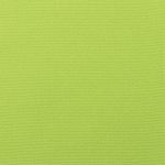 Canvas-Macaw