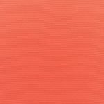 Canvas-Melon