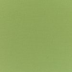 Canvas-Palm