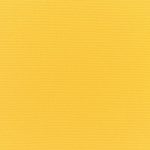 Canvas-Sunflower-Yellow