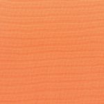 Canvas-Tangerine