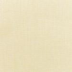 Canvas-Vellum