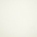 Canvas-White