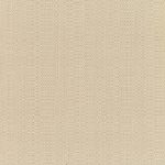 Linen-Champagne