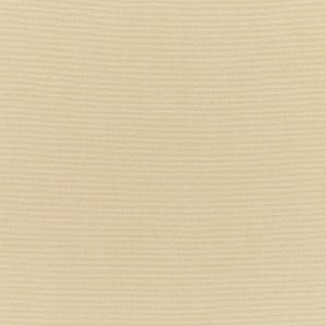 Canvas Antique Beige