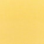 Canvas Buttercup