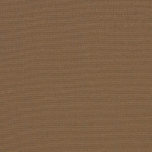 Canvas Cocoa