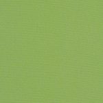 Canvas Ginkgo