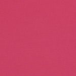 Canvas Hot Pink