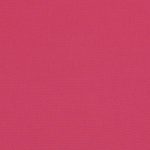 Canvas Hot Pink