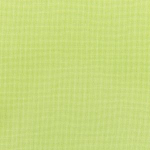 Canvas Parrot