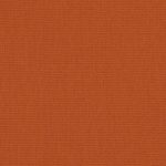 Canvas Rust