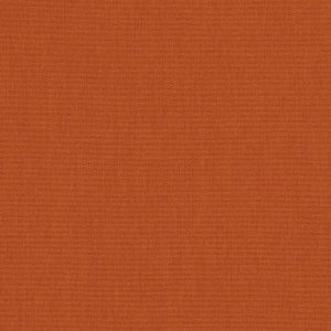 Canvas Rust