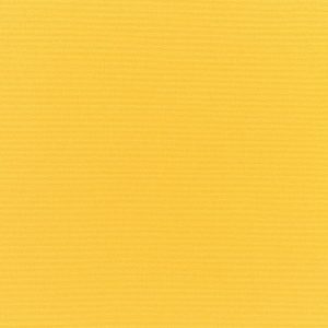 Canvas Sunflower Yellow