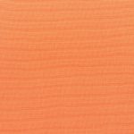 Canvas Tangerine