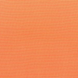 Canvas Tangerine