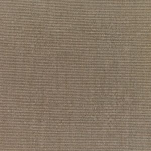 Canvas Taupe