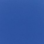 Canvas True Blue