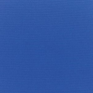 Canvas True Blue