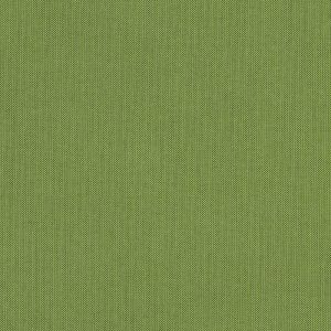 Spectrum Cilantro